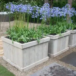 Steigerhout Plantenbakken